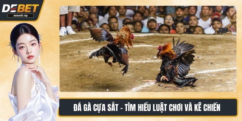 Đá gà cựa sắt