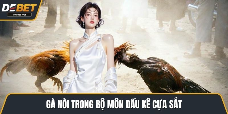 Gà nòi trong bộ môn đấu kê cựa sắt